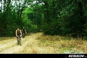 KERUCOV .ro - Fotografie si Jurnale de calatorie - Traseu MTB Bucuresti - Cernica - Padurea Cernica (Cube Days V) de Andrei Vocurek
