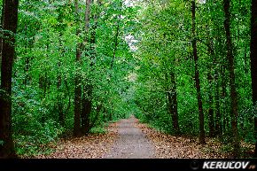 KERUCOV .ro - Fotografie si Jurnale de calatorie - Traseu MTB Bucuresti - Baneasa - Padurea Baneasa de Andrei Vocurek