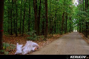 KERUCOV .ro - Fotografie si Jurnale de calatorie - Traseu MTB Bucuresti - Baneasa - Padurea Baneasa de Andrei Vocurek