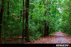 KERUCOV .ro - Fotografie si Jurnale de calatorie - Traseu MTB Bucuresti - Baneasa - Padurea Baneasa de Andrei Vocurek