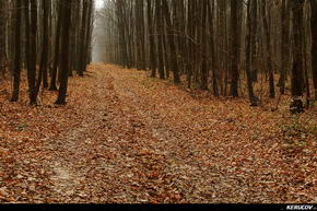 KERUCOV .ro - Fotografie si Jurnale de Calatorie - Traseu MTB Tancabesti - Balteni - Manastirea Tiganesti de Andrei Vocurek