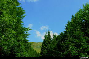 Traseu MTB Muntii Bucegi: Platoul Bucegi - Babele - Bolboci - Dichiu - Sinaia - KERUCOV .ro © 2007 - 2025 || #traseecubicicleta #mtb #ssp