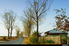 KERUCOV .ro - Fotografie si Jurnale de Calatorie - Traseu MTB Bucuresti - Gradistea - Comana - Parcul Natural Comana de Andrei Vocurek