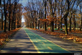 KERUCOV .ro - Fotografie si Jurnale de Calatorie - Traseu MTB Bucuresti - Snagov - Lacul Snagov de Andrei Vocurek