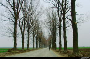KERUCOV .ro - Fotografie si Jurnale de Calatorie - Traseu MTB Bucuresti - Manastirea Caldarusani - Palatul Ghica de la Caciulati de Andrei Vocurek