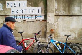 KERUCOV .ro - Fotografie si Jurnale de Calatorie - Traseu MTB Bucuresti - Padurea Boldu-Cretuleasa - Padurea Andronache de Andrei Vocurek