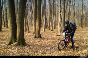 KERUCOV .ro - Fotografie si Jurnale de Calatorie - Traseu MTB Bucuresti - Padurea Boldu-Cretuleasa - Padurea Andronache de Andrei Vocurek