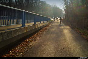 KERUCOV .ro - Fotografie si Jurnale de Calatorie - Traseu MTB Bucuresti - Padurea Boldu-Cretuleasa - Padurea Andronache de Andrei Vocurek