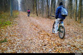 KERUCOV .ro - Fotografie si Jurnale de Calatorie - Traseu MTB Bucuresti - Padurea Boldu-Cretuleasa - Padurea Andronache de Andrei Vocurek