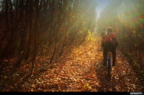 KERUCOV .ro - Fotografie si Jurnale de Calatorie - Traseu MTB Bucuresti - Padurea Boldu-Cretuleasa - Padurea Andronache de Andrei Vocurek