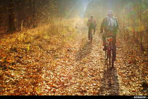 KERUCOV .ro - Fotografie si Jurnale de Calatorie - Traseu MTB Bucuresti - Padurea Boldu-Cretuleasa - Padurea Andronache de Andrei Vocurek