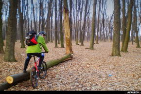 KERUCOV .ro - Fotografie si Jurnale de Calatorie - Traseu MTB Bucuresti - Padurea Boldu-Cretuleasa - Padurea Andronache de Andrei Vocurek