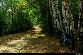 KERUCOV .ro - Fotografie si Jurnale de Calatorie - Traseu MTB Merisor - Dealu Babii - via DJ 666 - Vulcan - Aninoasa de Andrei Vocurek