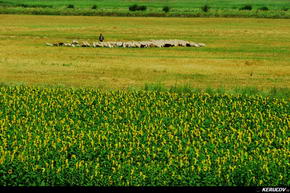 KERUCOV .ro - Fotografie si Jurnale de Calatorie - Traseu MTB Plataresti - Pitigaia - NH Balaceanca - Cernica de Andrei Vocurek