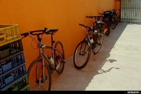 KERUCOV .ro - Fotografie si Jurnale de Calatorie - Traseu MTB Plataresti - Pitigaia - NH Balaceanca - Cernica de Andrei Vocurek