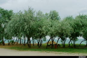 Traseu MTB Shabla - Vama Veche - Mangalia - KERUCOV .ro © 2007 - 2025 || #traseecubicicleta #mtb #ssp