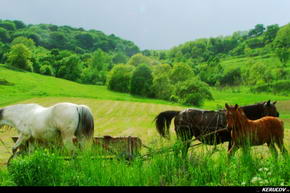 KERUCOV .ro - Fotografie si Jurnale de Calatorie - Traseu MTB Sighisoara - Prod - Copsa Mare - Biertan de Andrei Vocurek