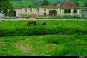 KERUCOV .ro - Fotografie si Jurnale de Calatorie - Traseu MTB Sighisoara - Prod - Copsa Mare - Biertan de Andrei Vocurek
