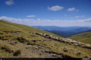 Trasee cu bicicleta MTB XC - Traseu MTB Muntii Baiului: Azuga - Muntii Baiului - Secaria - Comarnic de Andrei Vocurek