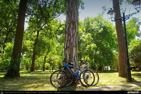Trasee cu bicicleta MTB XC - Traseu MTB Bucuresti - Mogosoaia - Buftea - Bucuresti de Andrei Vocurek
