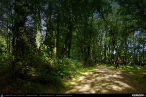 Trasee cu bicicleta MTB XC - Traseu MTB El Camino de Santiago del Norte - 10: Gontan - Goiriz - Puente de Saa - Baamonde de Andrei Vocurek
