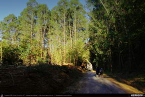 Traseu MTB El Camino de Santiago del Norte - 12: Sobrado Dos Monxes - Arzua - Santiago de Compostela - KERUCOV .ro © 2007 - 2025 || #traseecubicicleta #mtb #ssp