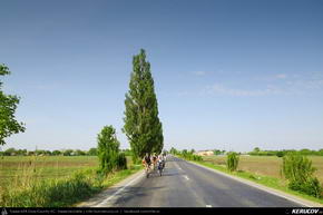 Trasee cu bicicleta MTB XC - Traseu MTB Ploiesti - Barcanesti - Gradistea - Caciulati - Bucuresti de Andrei Vocurek