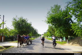 Trasee cu bicicleta MTB XC - Traseu MTB Ploiesti - Barcanesti - Gradistea - Caciulati - Bucuresti de Andrei Vocurek