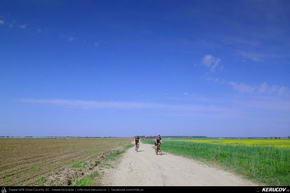 Trasee cu bicicleta MTB XC - Traseu MTB Ploiesti - Barcanesti - Gradistea - Caciulati - Bucuresti de Andrei Vocurek