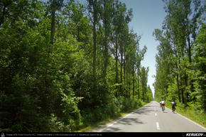 Trasee cu bicicleta MTB XC - Traseu MTB Ploiesti - Barcanesti - Gradistea - Caciulati - Bucuresti de Andrei Vocurek