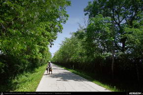 Trasee cu bicicleta MTB XC - Traseu MTB Ploiesti - Barcanesti - Gradistea - Caciulati - Bucuresti de Andrei Vocurek