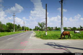 Trasee cu bicicleta MTB XC - Traseu MTB Ploiesti - Barcanesti - Gradistea - Caciulati - Bucuresti de Andrei Vocurek