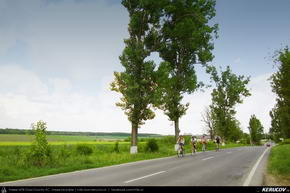 Trasee cu bicicleta MTB XC - Traseu MTB Ploiesti - Barcanesti - Gradistea - Caciulati - Bucuresti de Andrei Vocurek