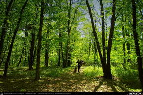 Trasee cu bicicleta MTB XC - Traseu MTB Ploiesti - Targsoru Vechi - Sirna - Bucuresti de Andrei Vocurek