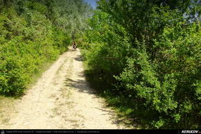Trasee cu bicicleta MTB XC - Traseu MTB Rusenski Lom si Basarbovo - Ruse - Giurgiu - Bucuresti de Andrei Vocurek