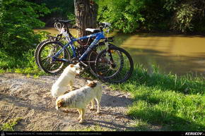 Trasee cu bicicleta MTB XC - Traseu MTB Rusenski Lom si Basarbovo - Ruse - Giurgiu - Bucuresti de Andrei Vocurek
