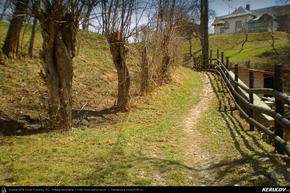Trasee cu bicicleta MTB XC - Traseu MTB Sinaia - Posada - Campina - Doftana - Floresti de Andrei Vocurek