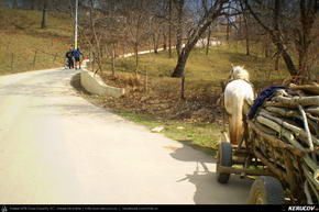 Trasee cu bicicleta MTB XC - Traseu MTB Sinaia - Posada - Campina - Doftana - Floresti de Andrei Vocurek