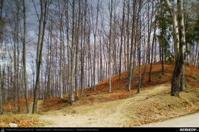 Trasee cu bicicleta MTB XC - Traseu MTB Sinaia - Posada - Campina - Doftana - Floresti de Andrei Vocurek