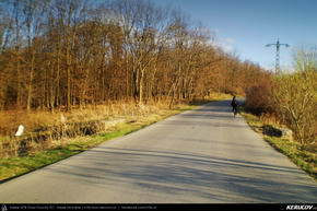 Trasee cu bicicleta MTB XC - Traseu MTB Sinaia - Posada - Campina - Doftana - Floresti de Andrei Vocurek