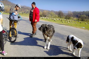 Trasee cu bicicleta MTB XC - Traseu MTB Breaza - Adunati - Costisata - Bezdead - Pucioasa - Targoviste de Andrei Vocurek