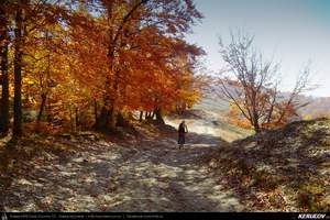 Trasee cu bicicleta MTB XC - Traseu MTB Breaza - Talea - Adunati - Provita de Jos - Poiana Campina de Andrei Vocurek