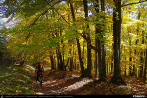 Trasee cu bicicleta MTB XC - Traseu MTB Breaza - Talea - Adunati - Provita de Jos - Poiana Campina de Andrei Vocurek