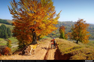Trasee cu bicicleta MTB XC - Traseu MTB Breaza - Talea - Adunati - Provita de Jos - Poiana Campina de Andrei Vocurek