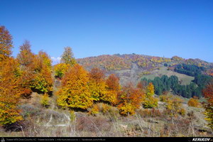 Trasee cu bicicleta MTB XC - Traseu MTB Breaza - Talea - Adunati - Provita de Jos - Poiana Campina de Andrei Vocurek