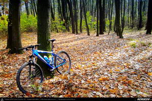 Trasee cu bicicleta MTB XC - Traseu MTB Bucuresti - Boldu-Cretuleasca - Runcu - Dascalu - Andronache de Andrei Vocurek