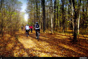 Trasee cu bicicleta MTB XC - Traseu MTB Bucuresti - Boldu-Cretuleasca - Runcu - Dascalu - Andronache de Andrei Vocurek