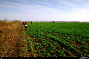 Trasee cu bicicleta MTB XC - Traseu MTB Bucuresti - Boldu-Cretuleasca - Runcu - Dascalu - Andronache de Andrei Vocurek