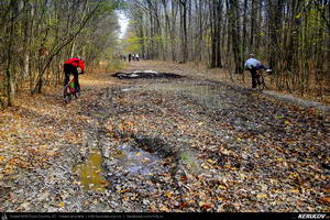 Trasee cu bicicleta MTB XC - Traseu MTB Bucuresti - Boldu-Cretuleasca - Runcu - Dascalu - Andronache de Andrei Vocurek
