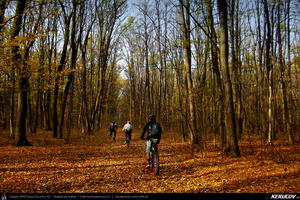 Trasee cu bicicleta MTB XC - Traseu MTB Bucuresti - Boldu-Cretuleasca - Runcu - Dascalu - Andronache de Andrei Vocurek